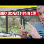 Ventanas de suelo a techo: Ilumina tu hogar con estilo