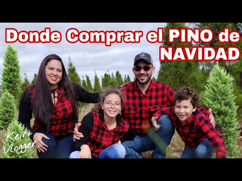 Compra Árbol Navidad Decorado: Encuentra el Perfecto