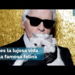 Karl Lagerfeld y su famoso gato: Una historia de moda y mascotas