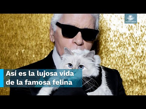 Karl Lagerfeld y su famoso gato: Una historia de moda y mascotas