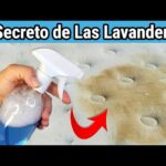 Aspirador para sofás y colchones: la solución perfecta para mantener tu hogar limpio