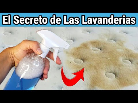 Aspirador para sofás y colchones: la solución perfecta para mantener tu hogar limpio