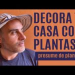 Centro de mesa de plantas: Ideas frescas y naturales para decorar tu hogar.