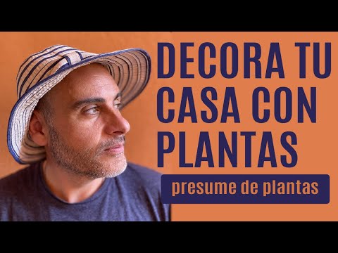 Centro de mesa de plantas: Ideas frescas y naturales para decorar tu hogar.