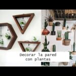 Colgar macetas en la pared: Ideas creativas para decorar tu hogar