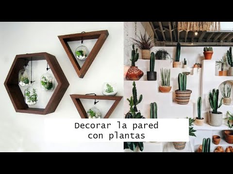 Colgar macetas en la pared: Ideas creativas para decorar tu hogar