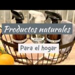 Productos de limpieza para mantener la salud en casa