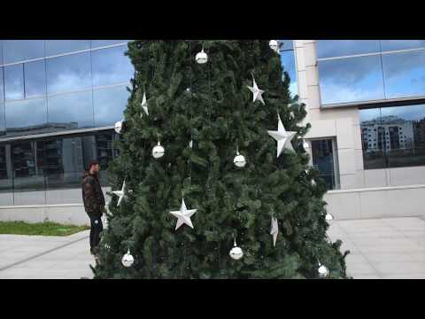 Árbol de Navidad de Madrid: La mejor decoración navideña de la ciudad