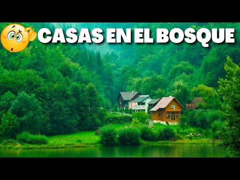 Casa en el Bosque: Un Refugio de Naturaleza y Tranquilidad