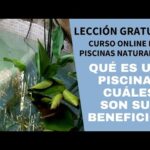 Piscinas naturales en Ametlla de Mar: Descubre la belleza del agua cristalina.