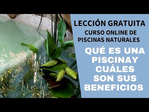 Piscinas naturales en Ametlla de Mar: Descubre la belleza del agua cristalina.