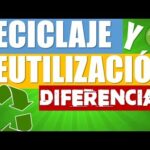 Diferencia entre reciclado y reutilizado: ¿cuál es la mejor opción para el medio ambiente?