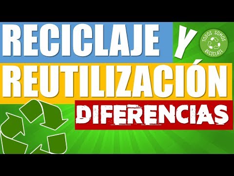 Diferencia entre reciclado y reutilizado: ¿cuál es la mejor opción para el medio ambiente?