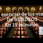 Museo del Vino en Burdeos: Descubre la Historia del Vino Francés