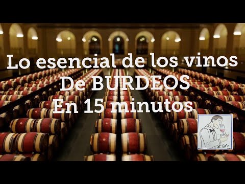 Museo del Vino en Burdeos: Descubre la Historia del Vino Francés