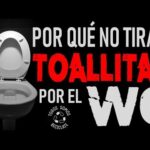 Evita problemas de fontanería: no tirar papel al wc