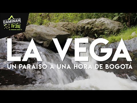 Descubre El Rincón de la Vega: Un Paraíso Natural