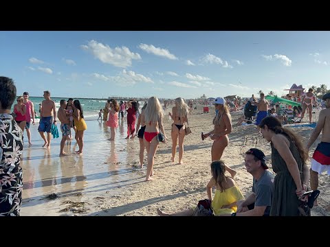 Mujeres en la playa: Cuadro vibrante de la vida veraniega