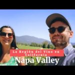 Cata de vinos en Napa Valley: descubre los mejores sabores.