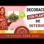 Maceteros de madera para tu hogar: la mejor opción para decorar tu interior