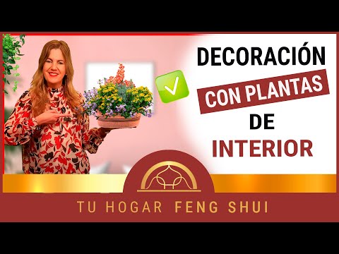 Maceteros de madera para tu hogar: la mejor opción para decorar tu interior