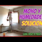 Pintura de silicato para humedades: solución efectiva para problemas de moho y humedad