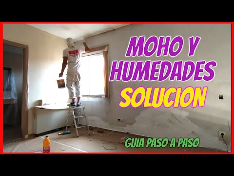 Pintura de silicato para humedades: solución efectiva para problemas de moho y humedad