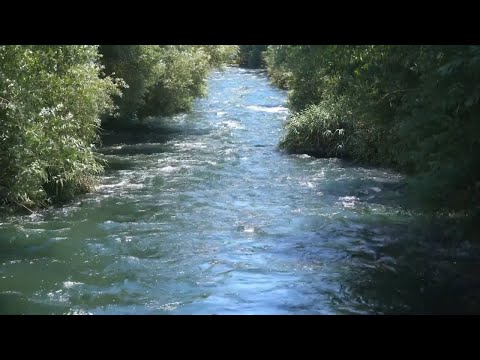 Descubre las Orillas del Duero con Antonio Machado