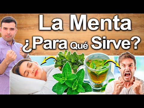 Beneficios de la menta: Descubre para qué sirve esta planta.