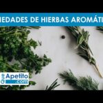 Descubre los nombres y fotos de las plantas aromáticas más populares