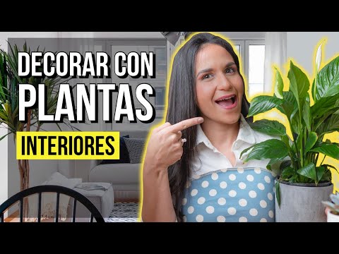 Planta interior de flor blanca: una opción elegante para decorar tu hogar