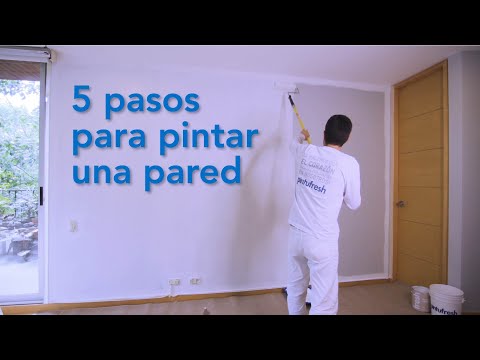 Tipos de pintados de pared: guía completa