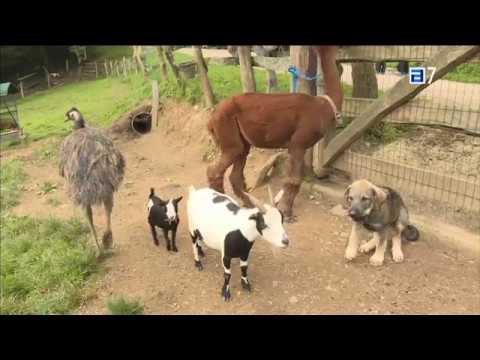 Casas rurales en el norte de Portugal: Descubre la belleza del campo