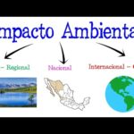 ¿Qué es el impacto ambiental? Descúbrelo aquí