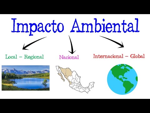 ¿Qué es el impacto ambiental? Descúbrelo aquí