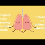 ¿Qué es un pulmón verde? Descubre su importancia y beneficios.