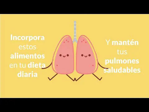 ¿Qué es un pulmón verde? Descubre su importancia y beneficios.