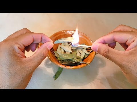 Ritual con hojas de laurel: guía paso a paso