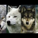Nombres de Lobos en Juego de Tronos: Guía Completa