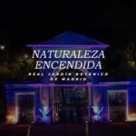 Descubre las Luces del Botánico en Madrid