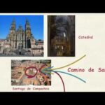 Training School en Santiago de Compostela: ¡Aprende de los mejores!