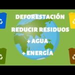 10 preguntas frecuentes sobre reciclaje - Respuestas claras y concisas.