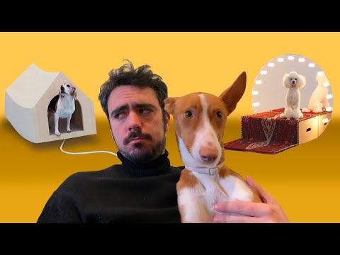 Casas para perros de obra: la mejor elección para tu mascota