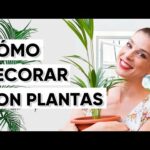 Decoración con plantas de interior: Ideas y Consejos