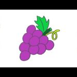 Dibuja uvas para fin de año: Guía paso a paso
