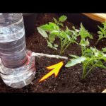 Sistema de Autorriego para Macetas: Cuida tus Plantas sin Esfuerzo