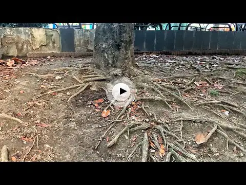 Descubre la encantadora Plaza de las Farolas en Santander