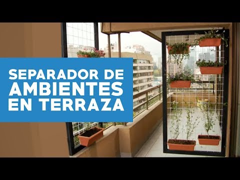 Plantas separadoras de ambientes exteriores: Guía de selección