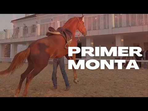 Montar a caballo en Logroño: Vive una aventura inolvidable.