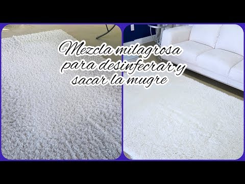 Consejos para limpiar alfombras extremadamente sucias.